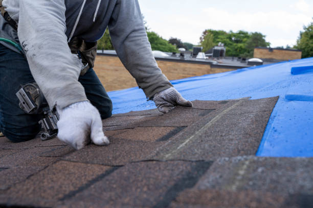 Best Storm Damage Roof Repair  in Oglala, SD